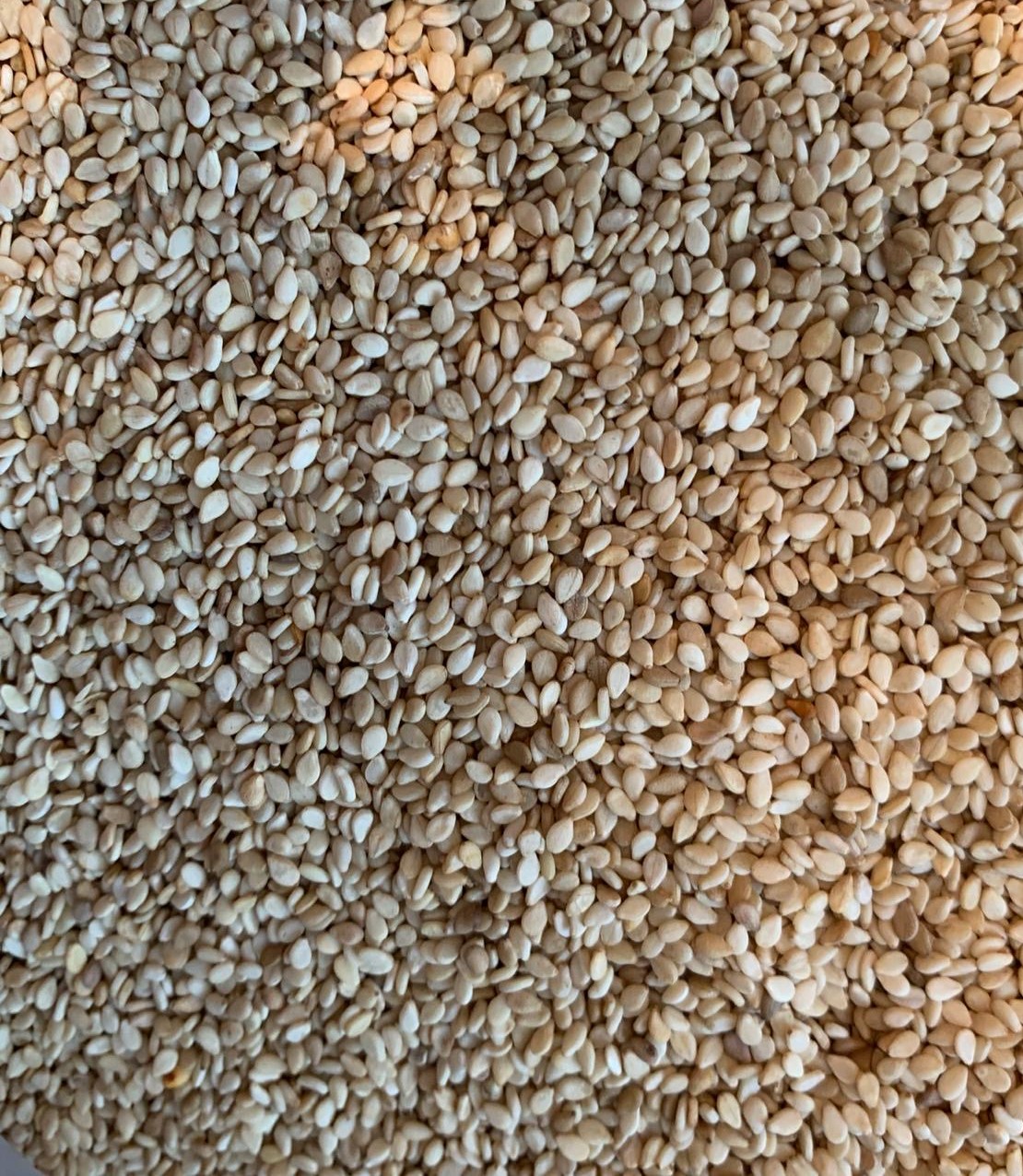 White Sesame seeds