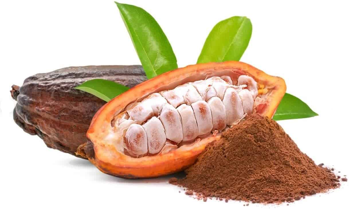 Cocoa Seeds