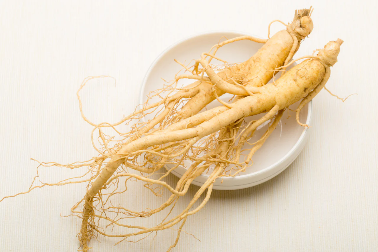 ginseng